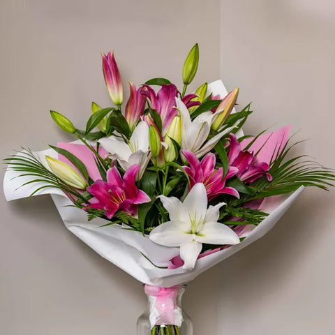 Lily Bouquet Bunches Bows Florist Shop 9 Albion Place Dunedin 9016 New Zealand