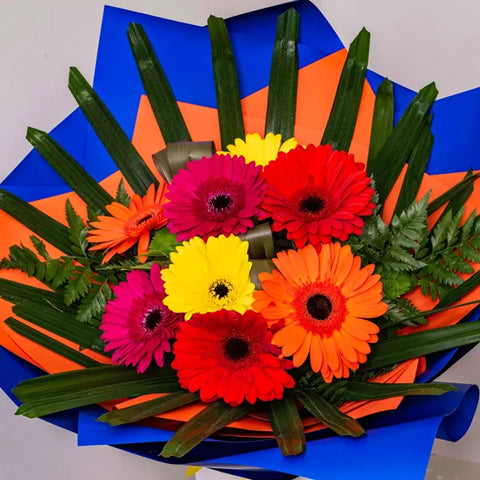 Mixed Spice Gerbera Bouquet Bunches Bows Florist Shop 9 Albion Place Dunedin 9016 New Zealand